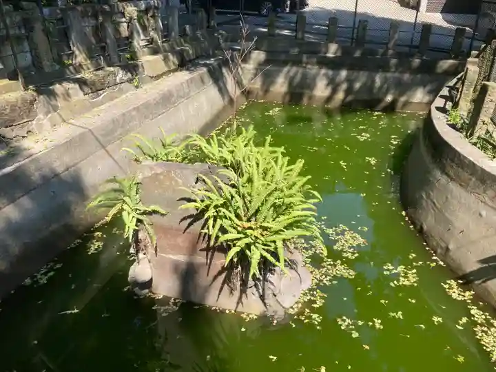 海南神社(神奈川県)