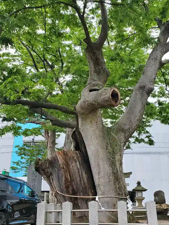 阿邪訶根神社(福島県)