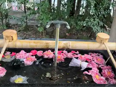 芝大神宮の手水舎