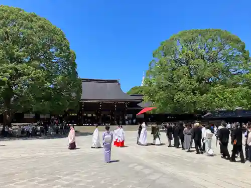 明治神宮(東京都)