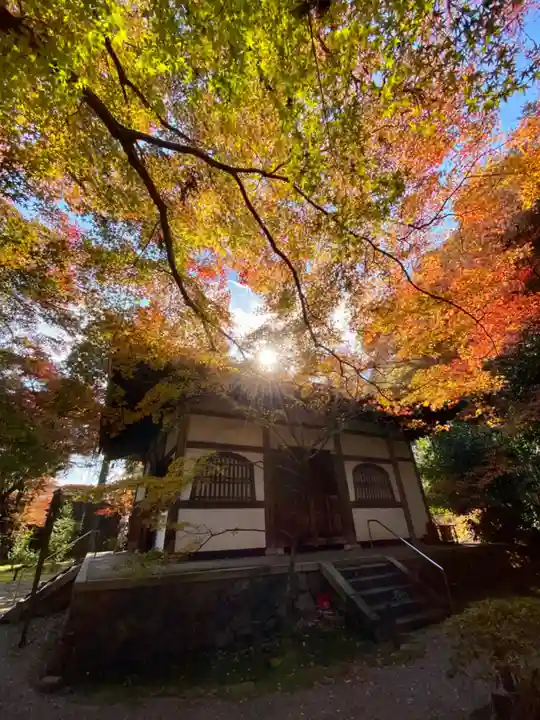地蔵院(京都府)