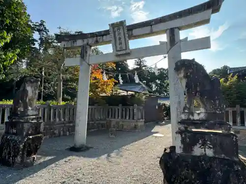 沙沙貴神社の鳥居