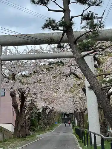 住三吉神社の鳥居