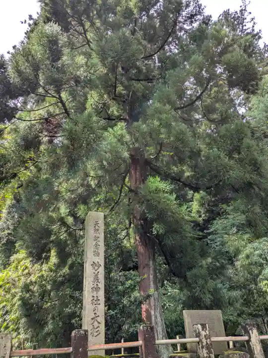 妙義神社(群馬県)