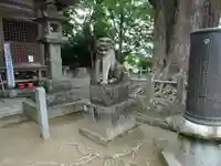 綾部八幡神社の狛犬