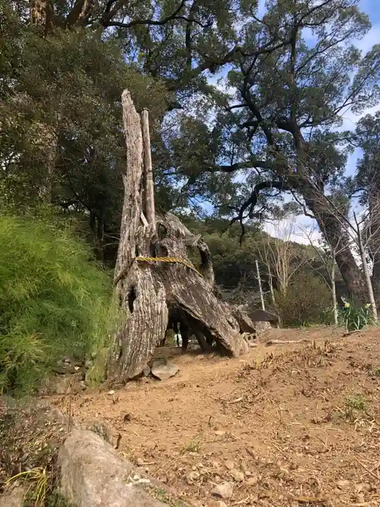 蛭児神社の自然