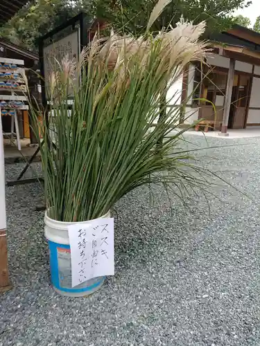 井伊谷宮のその他建物