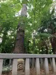 篠崎浅間神社の自然