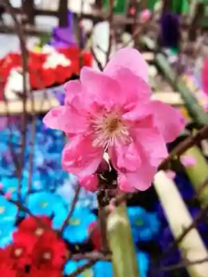 下谷神社(東京都)