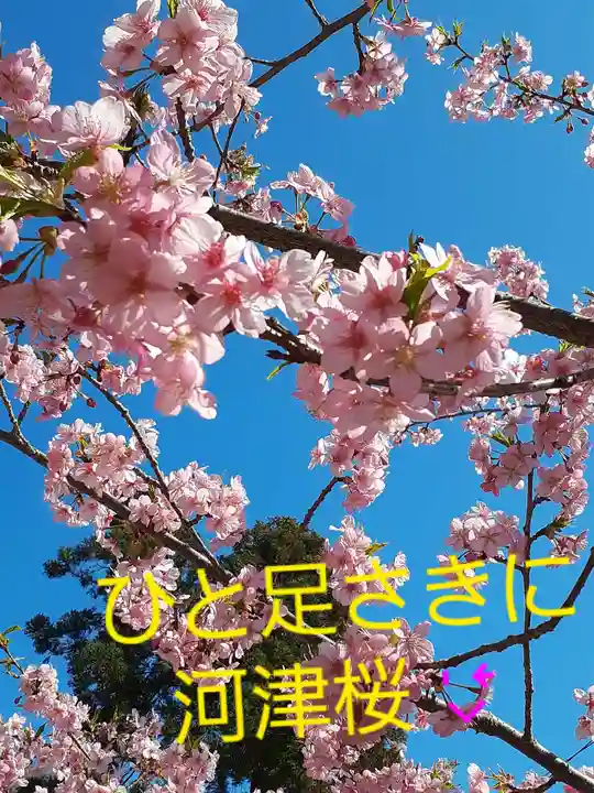 長楽寺(兵庫県)