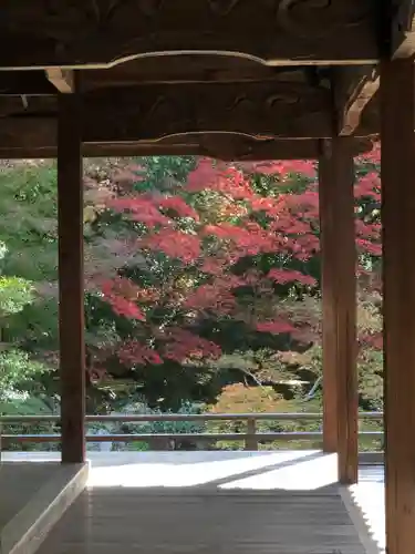 隨心院（随心院）の庭園