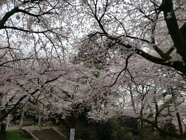 射水神社の自然