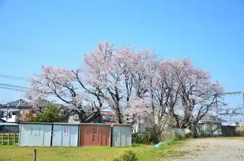 弥生神社の周辺
