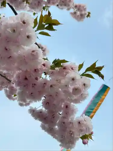 二柱神社(宮城県)