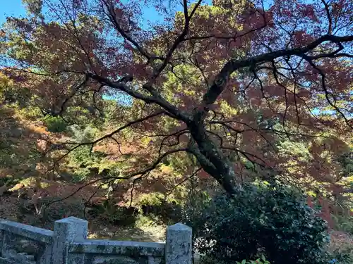日吉大社(滋賀県)