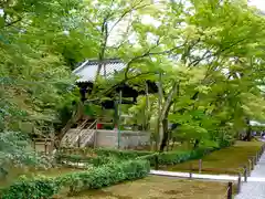 鹿苑寺（金閣寺）(京都府)