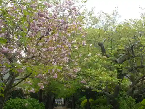 極楽寺（霊鷲山感應院極楽律寺）の庭園