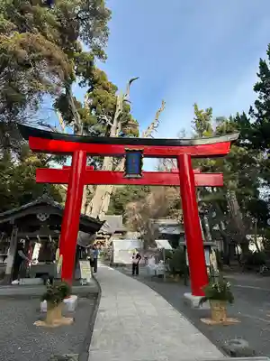 伊古奈比咩命神社(静岡県)