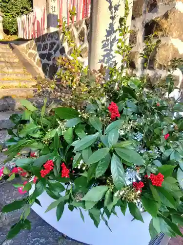 愛宕神社(福島県)