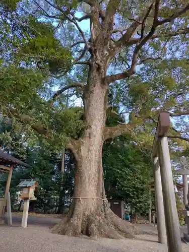 箕曲神社(三重県)