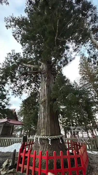 志和古稲荷神社(岩手県)