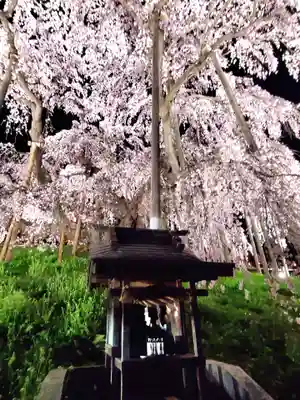 瀧桜神明宮(福島県)