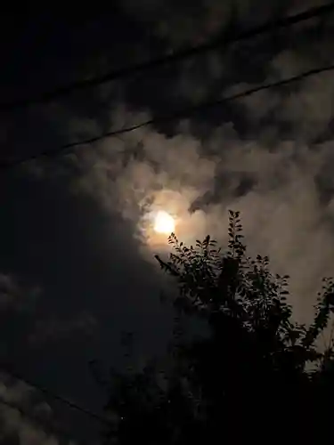 相模原氷川神社の自然
