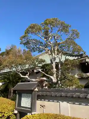 遍照寺の本殿・本堂