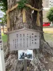 金山神社の自然