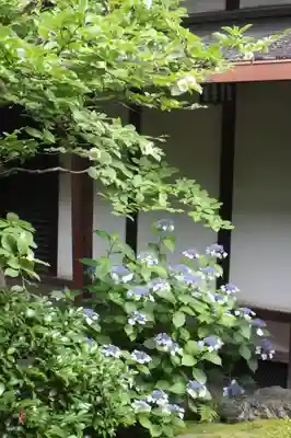 観智院(東寺子院)(京都府)