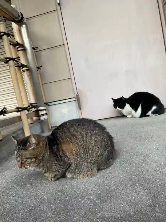 白金氷川神社(東京都)