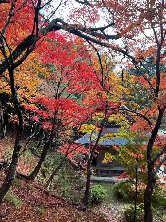 石道寺の{uncategorized: "未分類", other: "その他", undefined: "問題あり", building: "その他建物", grave: "お墓", sacred_gate: "鳥居", guardian: "狛犬", statue: "像", buddha: "仏像", history: "歴史", nature: "自然", garden: "庭園", animal: "動物", pagoda: "塔", temizu: "手水舎", mountain_gate: "山門・神門", sanctuary: "本殿・本堂", subordinate: "末社・摂社", art: "芸術", scenery: "景色", jizo: "地蔵", ema: "絵馬", goshuin: "御朱印", omikuji: "おみくじ", items: "授与品その他", amulet: "お守り", goshuincho: "御朱印帳", eats: "食事", festival: "お祭り", votive_dance: "神楽", shichigosan: "七五三参", wedding: "結婚式", experience: "体験その他", initially: "初詣", around: "周辺", anti_infection: "感染症対策"}
