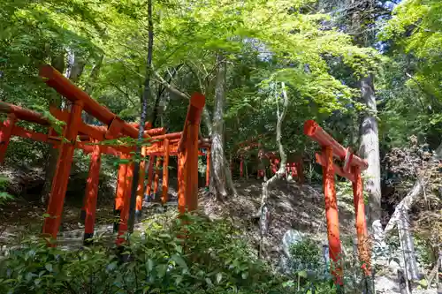 目の霊山　油山寺の鳥居