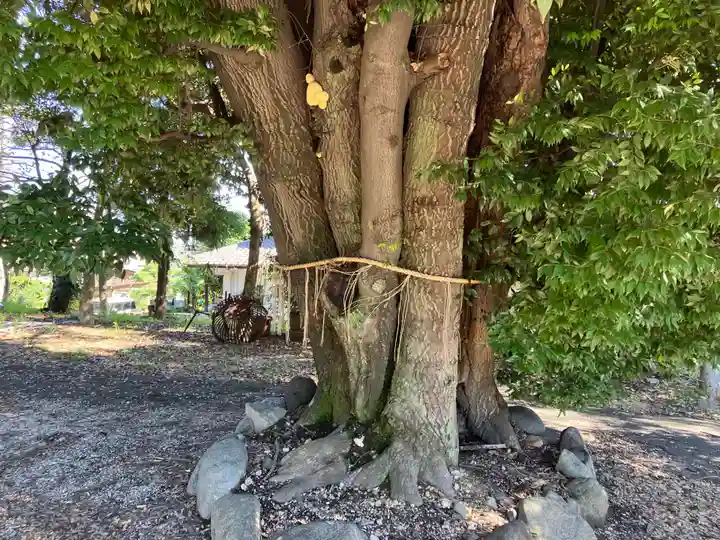 東海市熊野神社(愛知県)