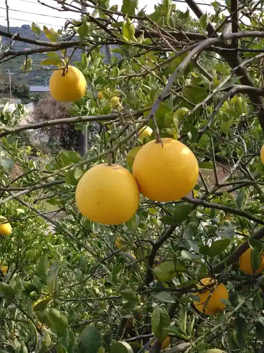 河内阿蘇神社(熊本県)