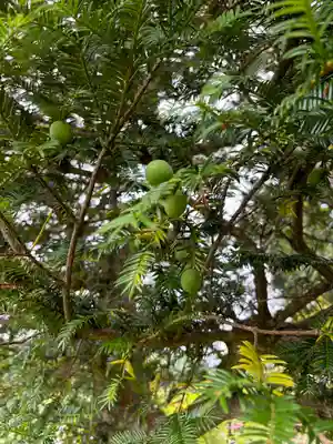 暮坪稲荷神社(福島県)