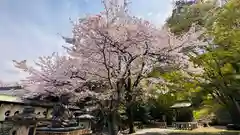 大石神社(京都府)