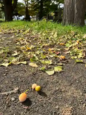 花畔神社(北海道)