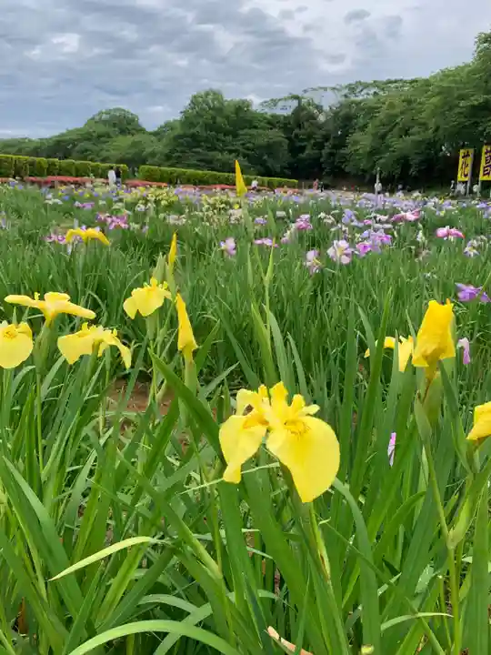 金津神社(福井県)