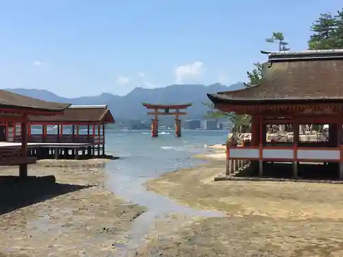 厳島神社の景色