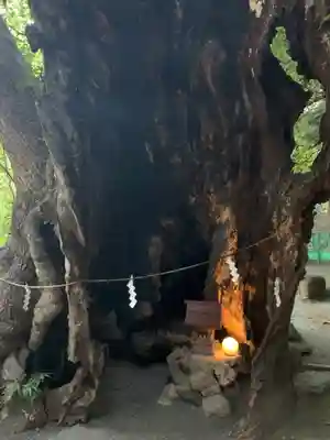 來宮神社(静岡県)