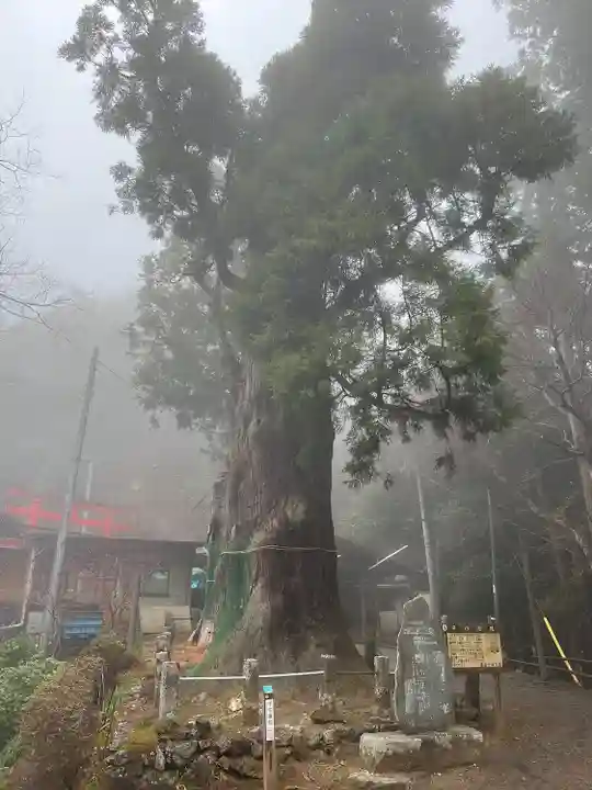 天龍寺(埼玉県)