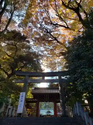 金王八幡宮(東京都)