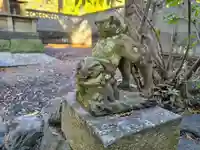春日社(小山)の狛犬