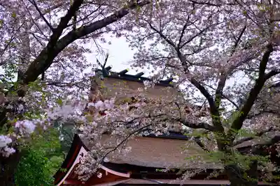 富士山本宮浅間大社の本殿・本堂