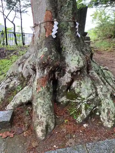 鹽竃神社の自然