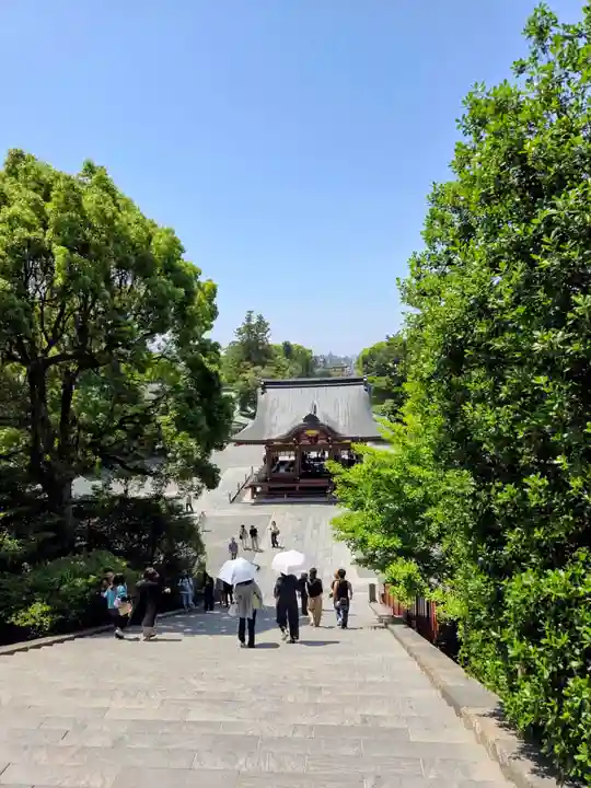 鶴岡八幡宮(神奈川県)