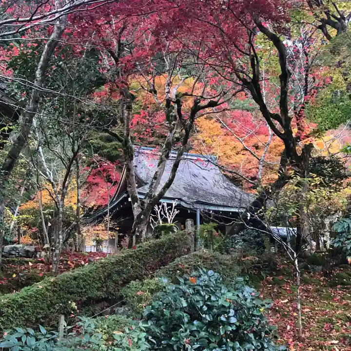 寂光院(京都府)