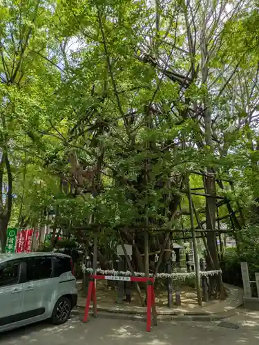 稲毛神社(神奈川県)