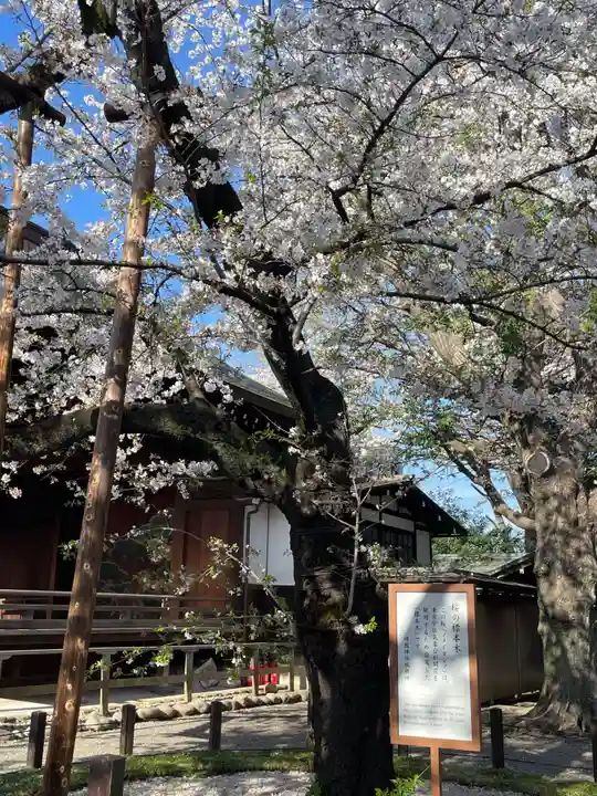 靖國神社(東京都)